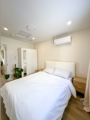 296 Laneway Bedroom.png